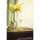 Eisch 2 Allround-Gläser SENSISPLUS 543/3 grün fruchtig & aromatisch