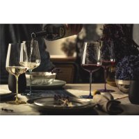 Eisch 2 Allround-Gläser SENSISPLUS 543/7 grau...