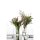 Eisch Glas Blumen-Vase TONIO 651/21