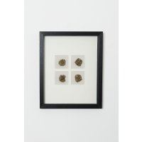 Holländer Bild ECOLOGICA MDF schwarz