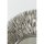 Holländer Spiegel FOGLIAME Aluminium silber