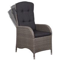 deVries Juan Dining Relaxsessel 8 mm smokey grey