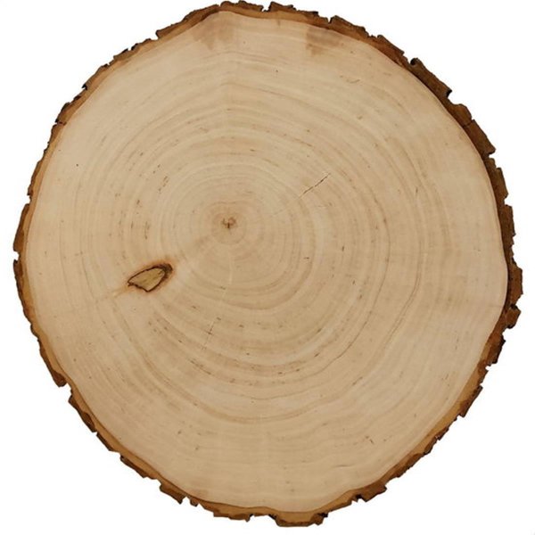 Sterngraf Baumscheibe 30cm mit Gravur (Namen) personalisierte Holz-Scheibe Stammbaum Lebensbaum Motiv D1