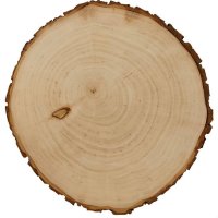 Sterngraf Baumscheibe 30cm mit Gravur (Namen)...