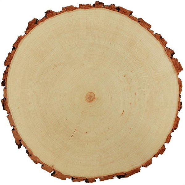 Sterngraf Baumscheibe 18cm mit Gravur (Namen Datum) personalisierte Holz-Gedenkplatte Grabschmuck Trauer Gedenktafel Andenken an Verstorbene Grab-Dekoration Feder MotivTR4