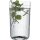 Zwiesel Glas Longdrinkglas Glamorous 2er Set